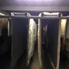 Imagem 2 da empresa BRUH LAVE LAVANDERIA Tapetes E Passadeiras - Limpeza em São Paulo SP