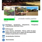 Imagem 9 da empresa CAPITAL REMOÇÕES Drogas - Tratamento em Praia Grande SP