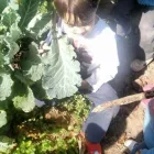 Imagem 17 da empresa ESCOLA DE EDUCAÇÃO INFANTIL BOUGAINVILLE Berçários em São Paulo Brasil