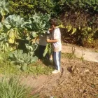 Imagem 18 da empresa ESCOLA DE EDUCAÇÃO INFANTIL BOUGAINVILLE Berçários em São Paulo Brasil