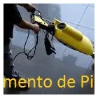 Imagem 4 da empresa FOX DEL SERVICE PORTARIA E LIMPEZA Zeladoria em São Paulo SP
