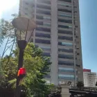 Imagem 1 da empresa PLANYTEC CONSTRUÇÕES E PROJETOS Tratamento de Concreto em São Paulo Brasil