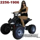 Imagem 2 da empresa QUADRIS MOBILITYS Quadriciclos em São Paulo SP