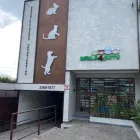 Imagem 5 da empresa SMILE4PETS - ODONTOLOGIA VETERINÁRIA E ESPECIALIDADES VETERINÁRIAS Veterinários - Oftalmologia em São Paulo SP