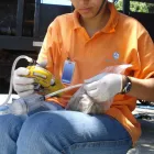 Imagem 4 da empresa TECNOHIDRO ENGENHARIA AMBIENTAL Meio Ambiente - Estudos em São Paulo SP