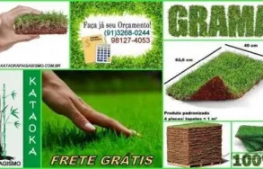 Imagem 3 da empresa FLORICULTURA YAMANAKA - MARCO Paisagismo em Belem Brasil