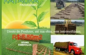 Imagem 5 da empresa FLORICULTURA YAMANAKA - MARCO Paisagismo em Belem Brasil