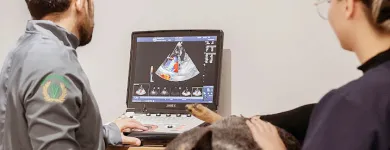 Imagem 4 da empresa DR. GUILHERME AQUINO | CARDIOPATAS CARDIOLOGIA VETERINÁRIA JACAREÍ Veterinários - Médicos em Jacareí SP