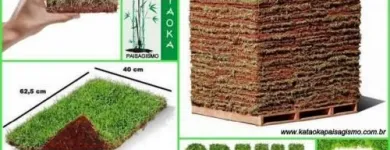 Imagem 2 da empresa FLORICULTURA YAMANAKA - MARCO Paisagismo em Belem Brasil