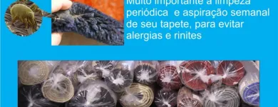 Imagem 4 da empresa IOGO CLEAN LAVANDERIA DE TAPETES Tapetes E Passadeiras - Limpeza em São Bernardo Do Campo SP