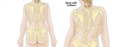 Imagem 3 da empresa QUIRO SALUS – CLÍNICA DE QUIROPRAXIA EM SÃO PAULO Terapias Alternativas em São Paulo SP