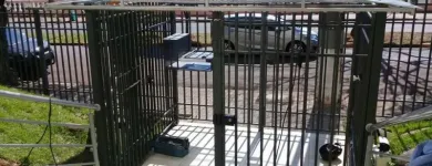 Imagem 7 da empresa SERRALHERIA FERRO FORTE Serralheria Artística em Campinas SP
