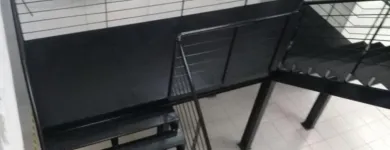 Imagem 9 da empresa SERRALHERIA FERRO FORTE Serralheria Artística em Campinas SP