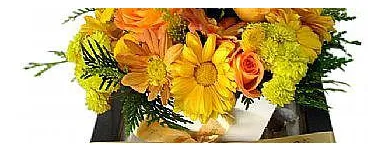 Imagem 1 da empresa TOQUE VERDE Floriculturas em Vitória ES