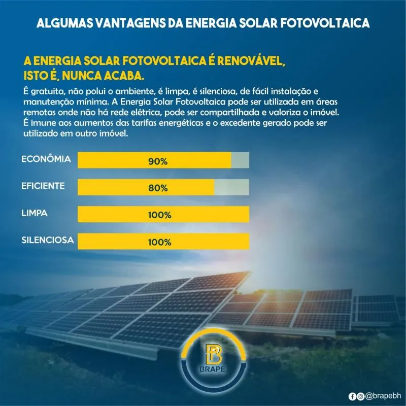 Imagem 2 da empresa BRAPENACIONAL