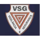 VSG VIGILÂNCIA E TECNOLOGIA Vigilância em Vitória ES