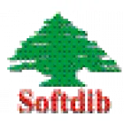 SOFTDIB