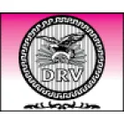 DRV COMÉRCIO DE PORTÕES AUTOMÁTICOS